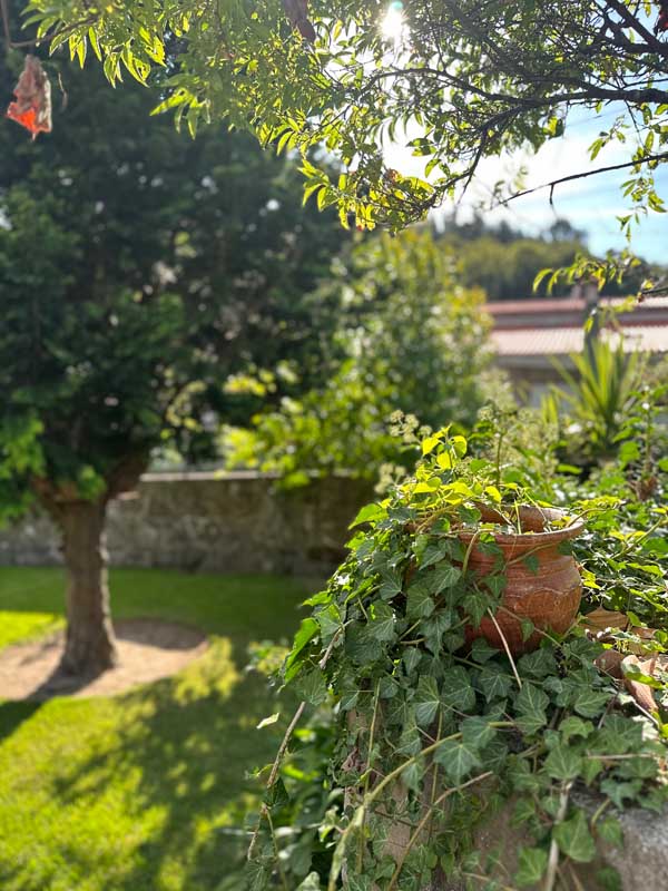 Detalhes_6