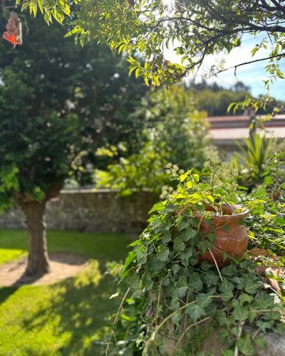 Detalhes_6